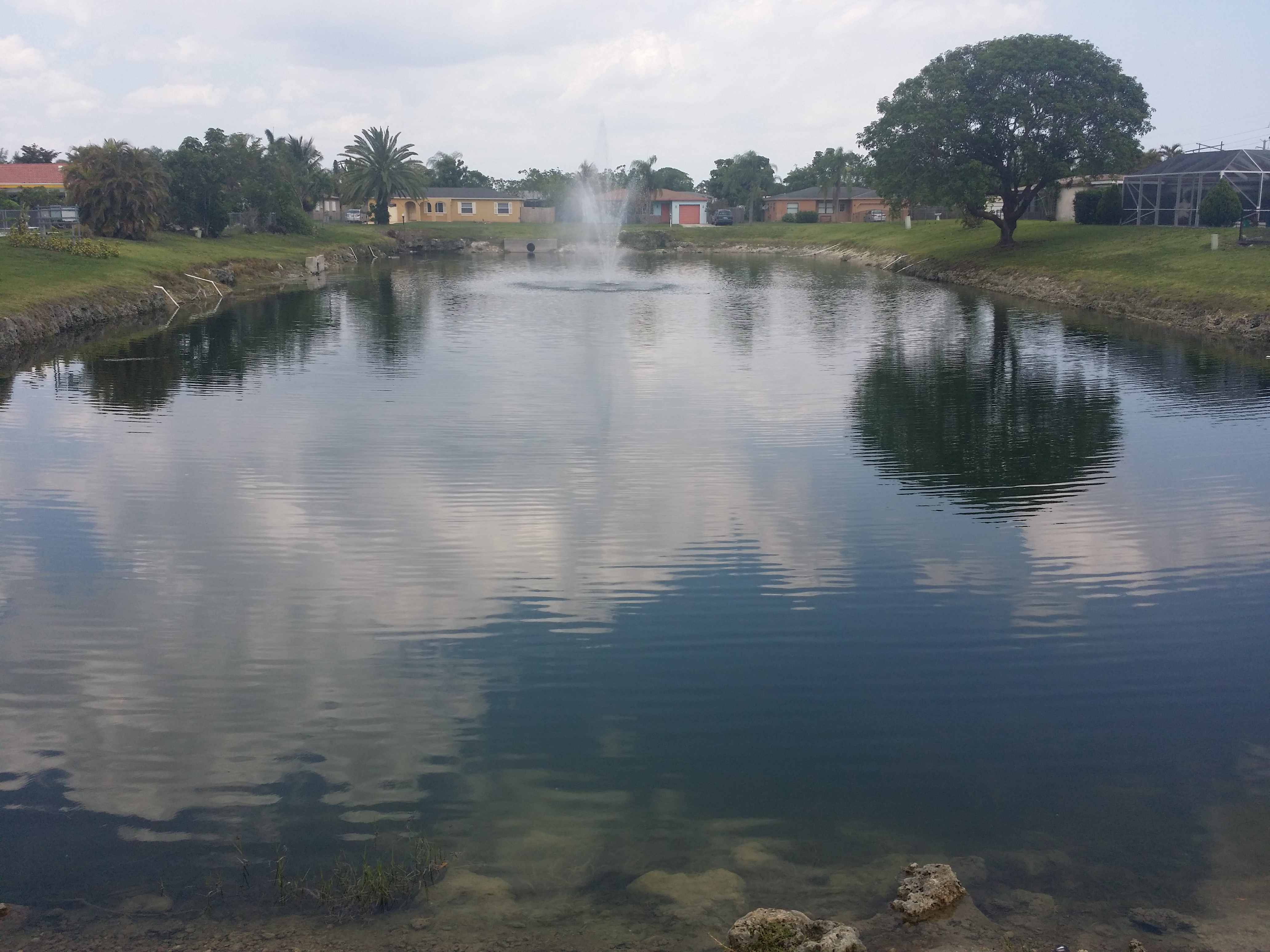 Gallery Palmetto Pines HOA